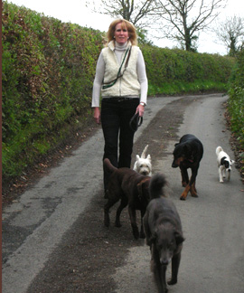 Exeter, Devon Dog Training