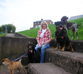 Dog training workshops Exeter