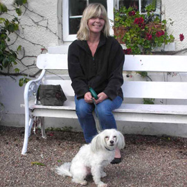 chinese crested dog