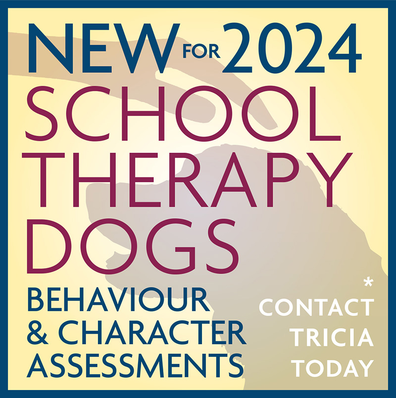 Dog behaviourist Exeter